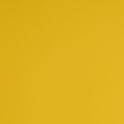 HX20JMIB - Jaune Miel Brillant 2